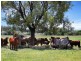 Tamworth NSW 2340