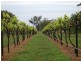 Tamworth NSW 2340