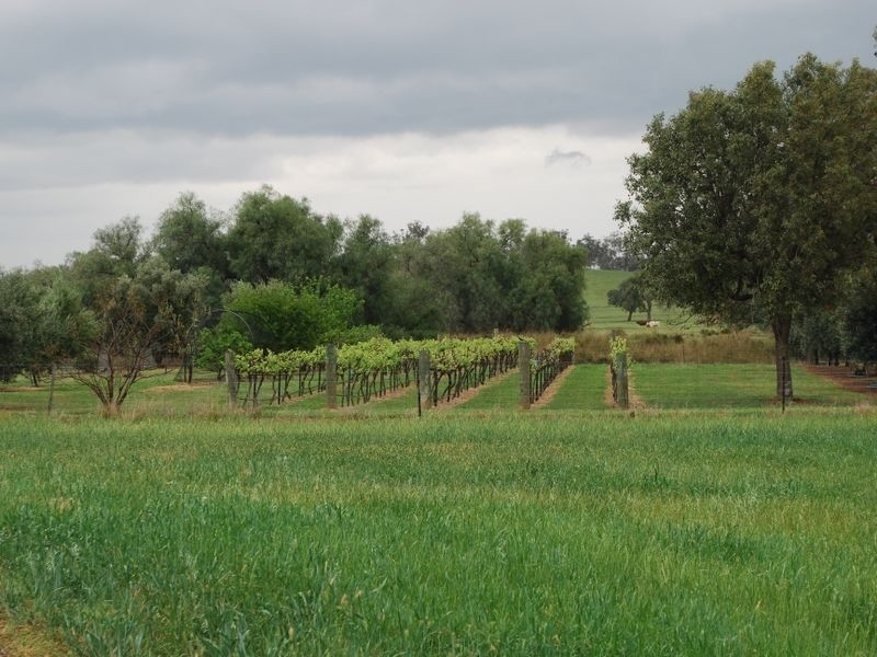 Tamworth NSW 2340