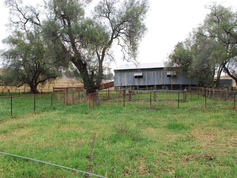 Tamworth NSW 2340