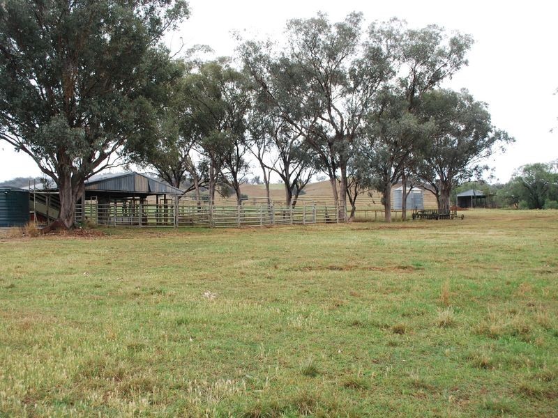 Tamworth NSW 2340