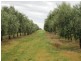 Tamworth NSW 2340