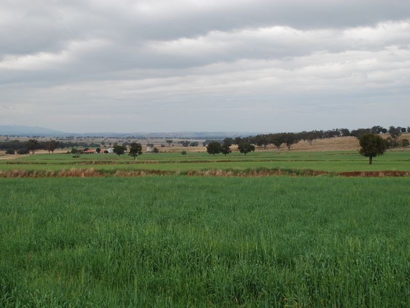 Tamworth NSW 2340