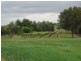 Attunga NSW 2345