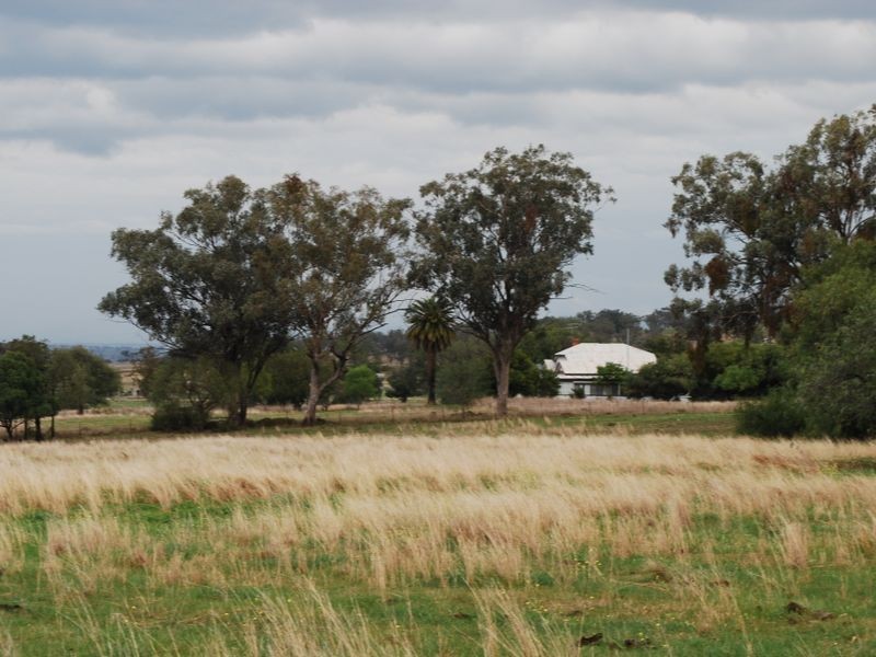 Attunga NSW 2345