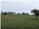 Attunga NSW 2345