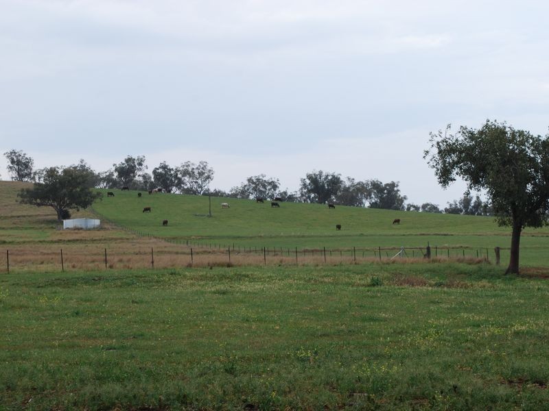 Attunga NSW 2345