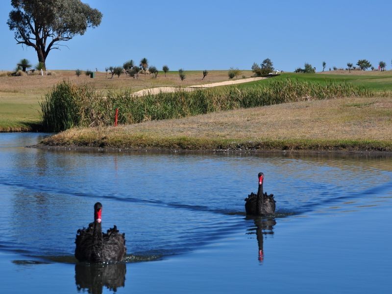 Greg Norman Drive, Tamworth NSW 2340