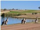 Greg Norman Drive, Tamworth NSW 2340