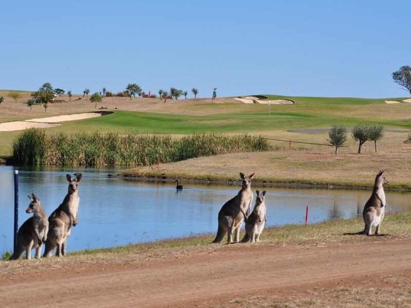 Greg Norman Drive, Tamworth NSW 2340