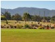 Greg Norman Drive, Tamworth NSW 2340