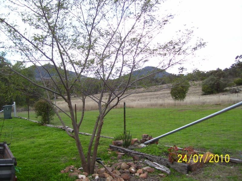 Currabubula NSW 2342