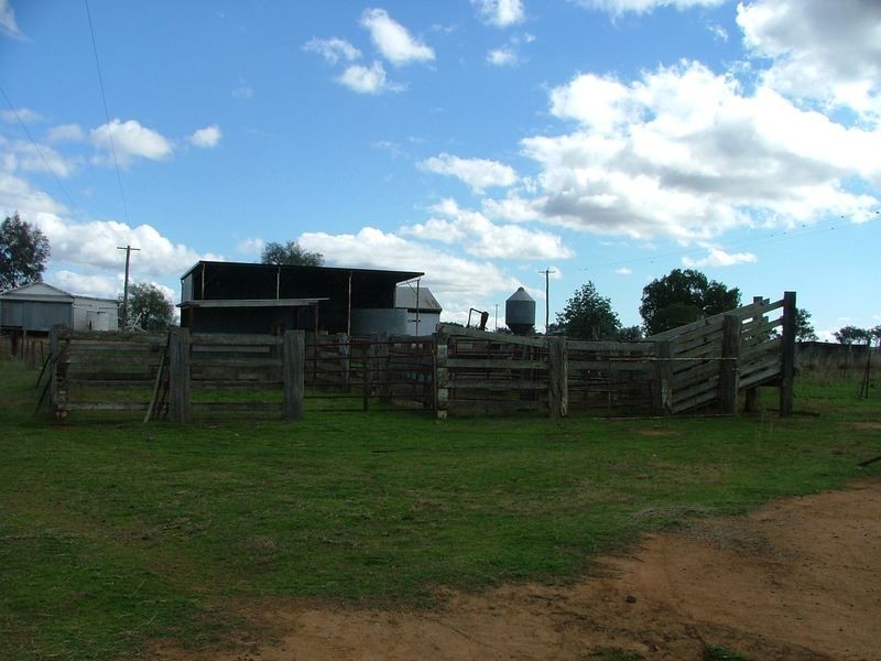 ‘Mandowa’/1108 Warral Duri Road, Tamworth NSW 2340