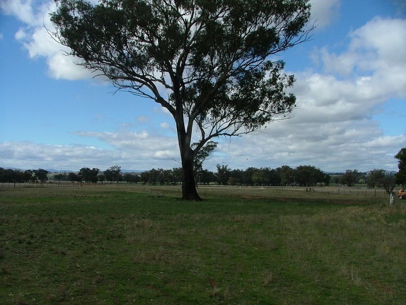 ‘Mandowa’/1108 Warral Duri Road, Tamworth NSW 2340