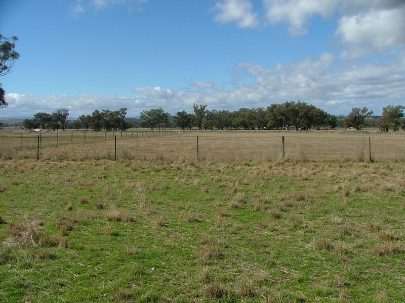 ‘Mandowa’/1108 Warral Duri Road, Tamworth NSW 2340