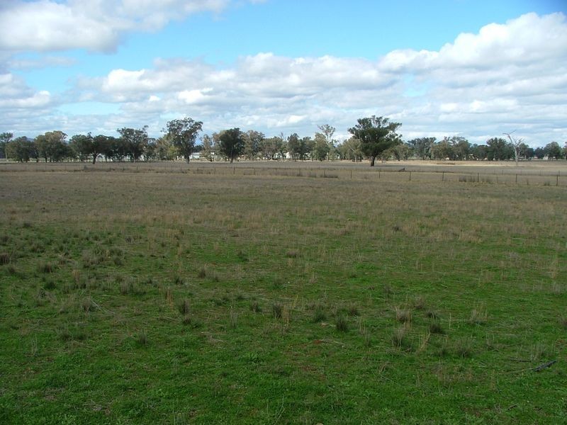 ‘Mandowa’/1108 Warral Duri Road, Tamworth NSW 2340