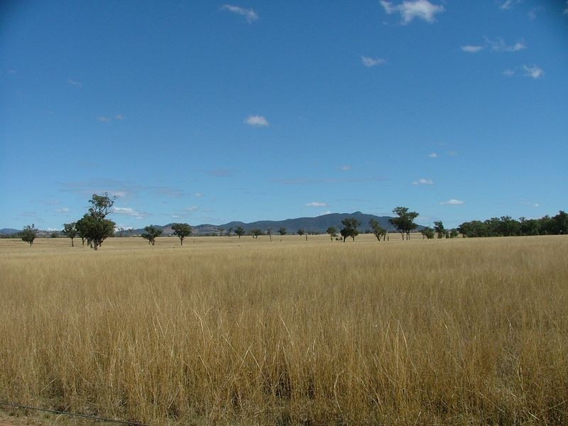 ‘Mandowa’/1108 Warral Duri Road, Tamworth NSW 2340