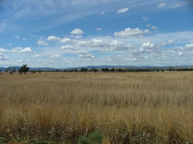 ‘Mandowa’/1108 Warral Duri Road, Tamworth NSW 2340