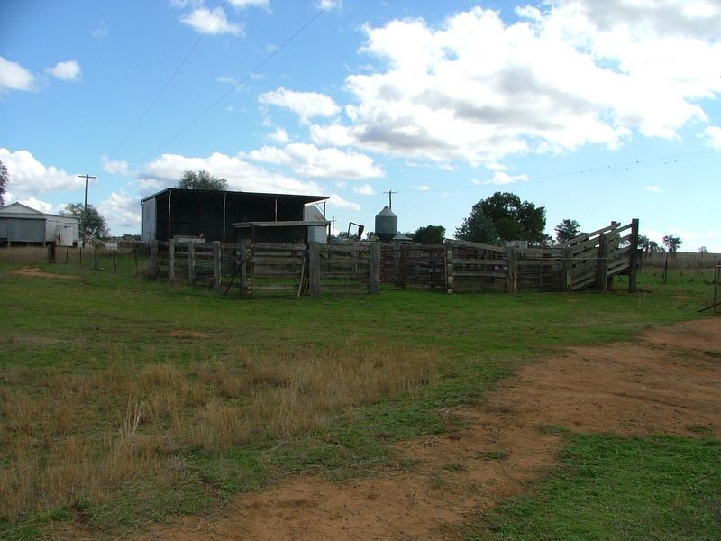 ‘Mandowa’/1108 Warral Duri Road, Tamworth NSW 2340