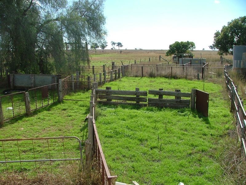 ‘Mandowa’/1108 Warral Duri Road, Tamworth NSW 2340