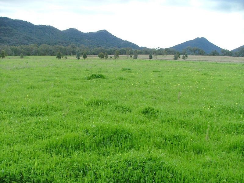 ‘Dulkara’/70 Mt Cobla Road, Currabubula NSW 2342