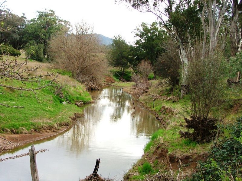 ‘Dulkara’/70 Mt Cobla Road, Currabubula NSW 2342