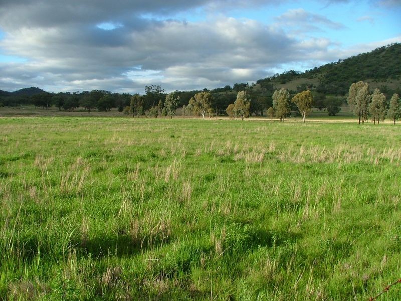 ‘Dulkara’/70 Mt Cobla Road, Currabubula NSW 2342