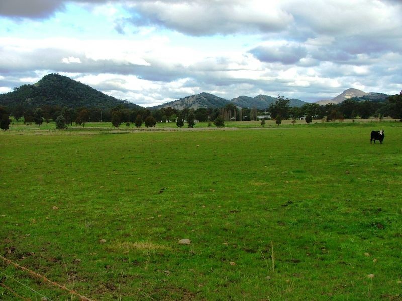 ‘Dulkara’/70 Mt Cobla Road, Currabubula NSW 2342