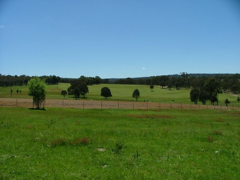 Kentucky NSW 2354