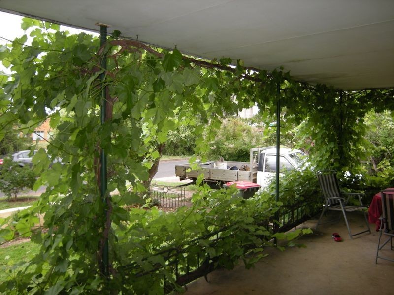 20 Gunnedah Road, Tamworth NSW 2340