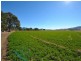 Nemingha NSW 2340