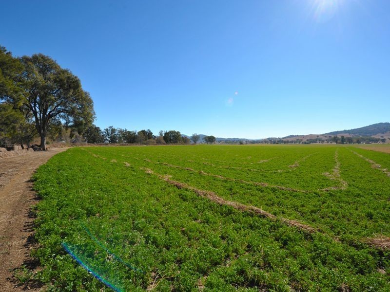 Nemingha NSW 2340