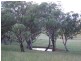 Nundle NSW 2340