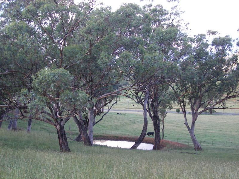 Nundle NSW 2340