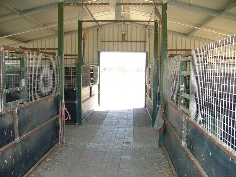 ‘Kara Ja’/172 Sandy Road, Kootingal NSW 2352