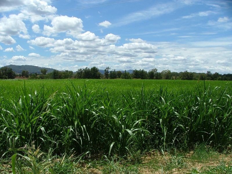 19-23 Calala Lane, Tamworth NSW 2340