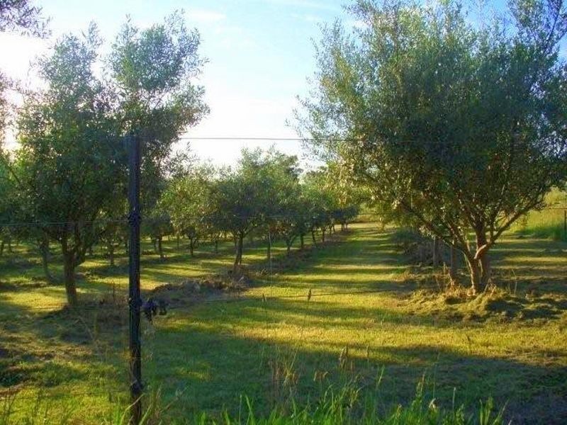 ‘Eolarda’/321 Ogunbil Road, Dungowan NSW 2340