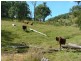 Tamworth NSW 2340