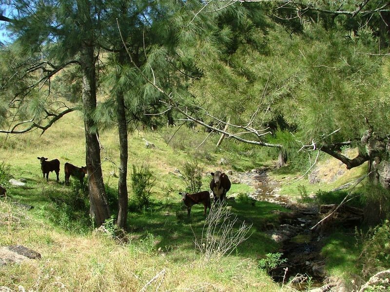 Tamworth NSW 2340