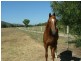 ‘Kara Ja’/172 Sandy Road, Tamworth NSW 2340