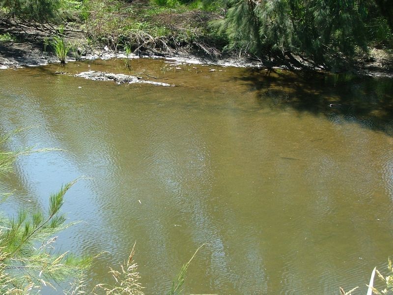 ‘Kara Ja’/172 Sandy Road, Tamworth NSW 2340