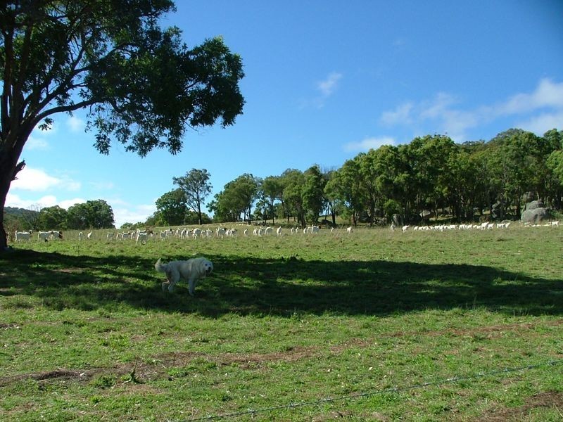 Bendemeer NSW 2355