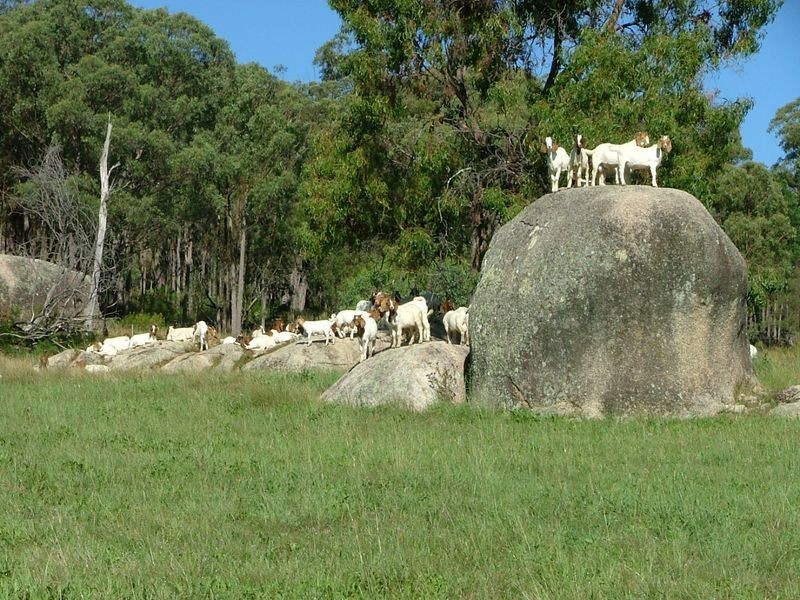 Bendemeer NSW 2355