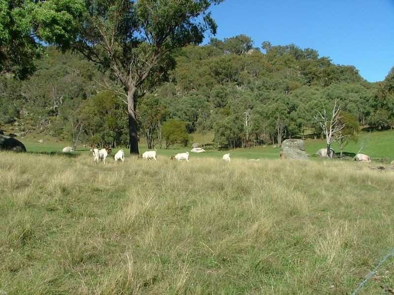 Bendemeer NSW 2355