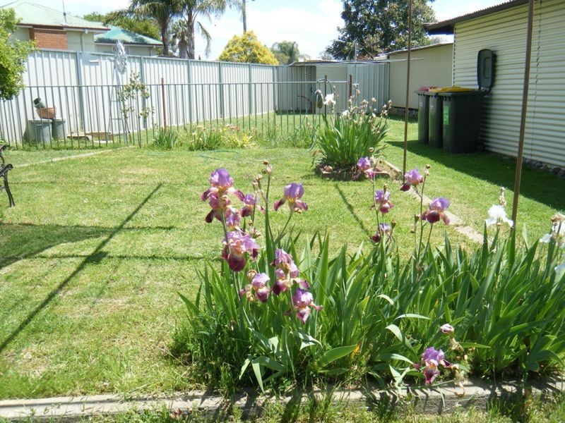 31 Petra Avenue, Tamworth NSW 2340