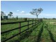 15 Ridds Lane WINTON NSW 2344, Tamworth NSW 2340