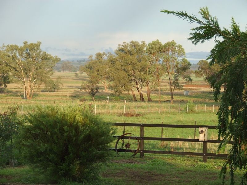 15 Ridds Lane WINTON NSW 2344, Tamworth NSW 2340