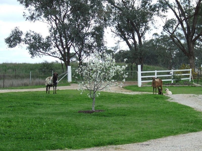 15 Ridds Lane WINTON NSW 2344, Tamworth NSW 2340