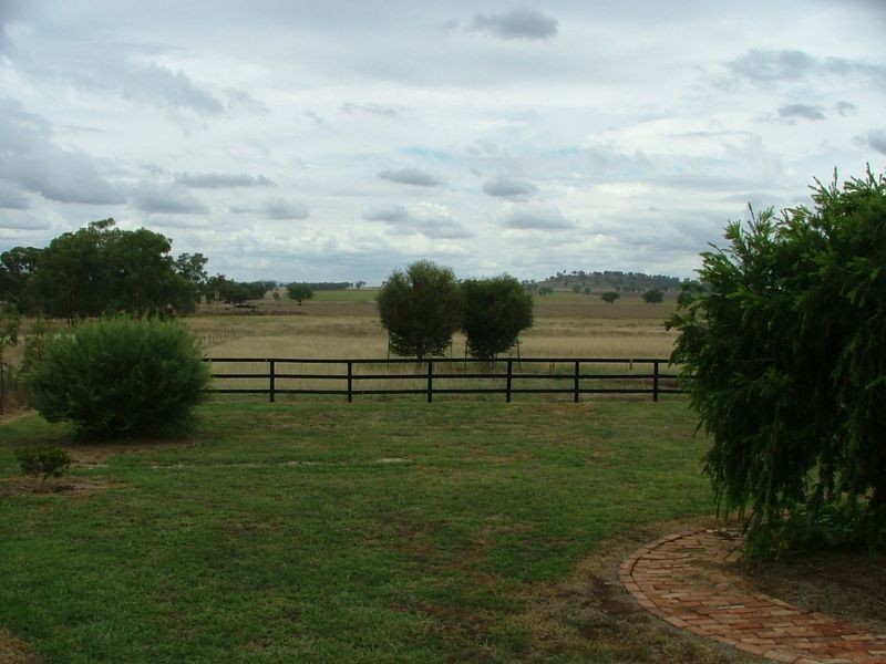 15 Ridds Lane WINTON NSW 2344, Tamworth NSW 2340