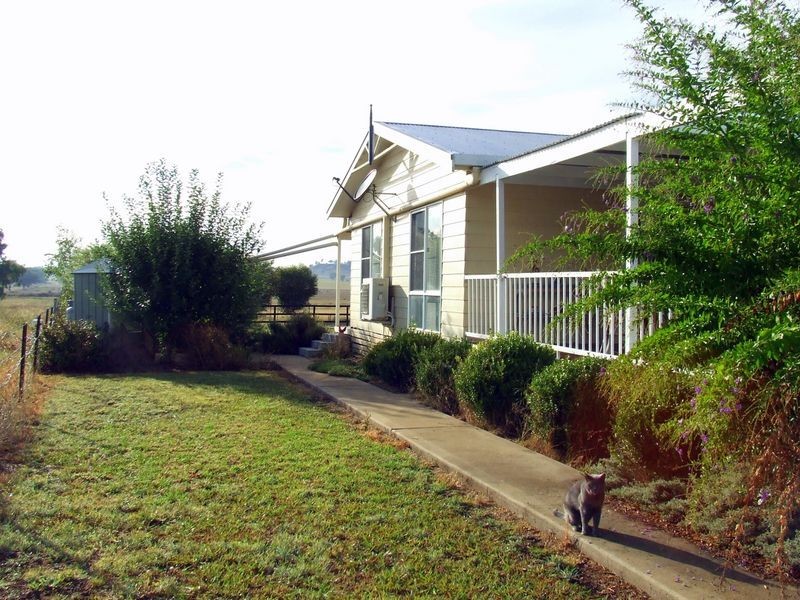 15 Ridds Lane WINTON NSW 2344, Tamworth NSW 2340